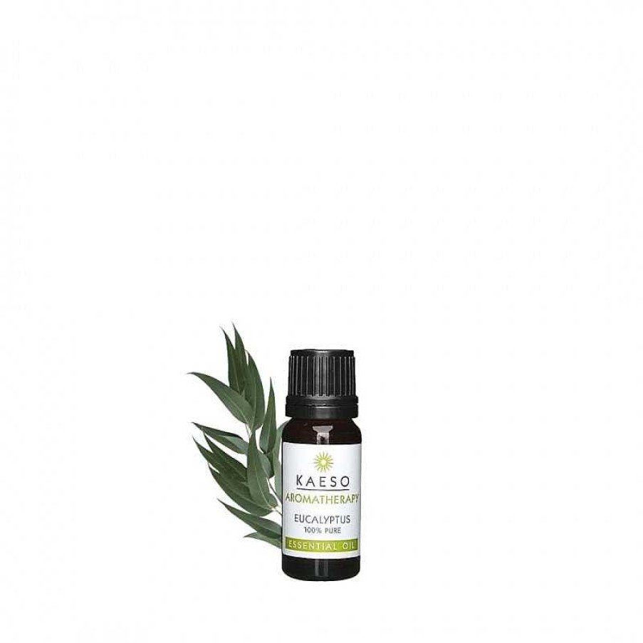 Wholesale Kaeso Aceite Esencial Eucalipto 10Ml