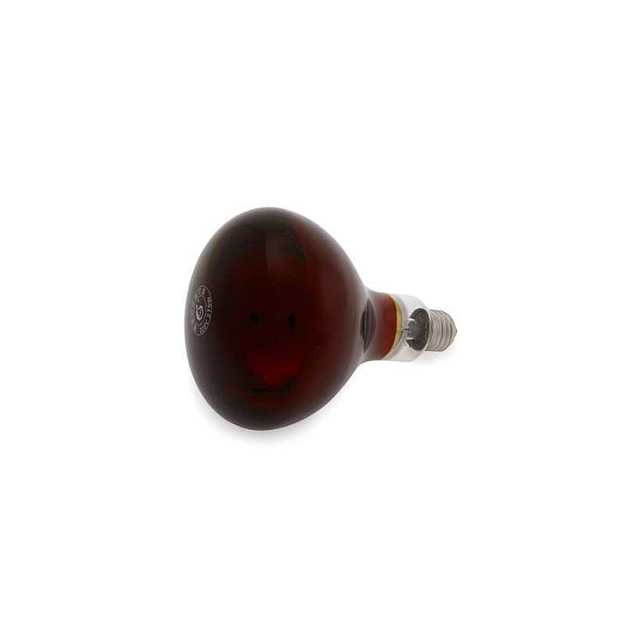 Hot WEELKO Bombilla Infrarrojos 275W