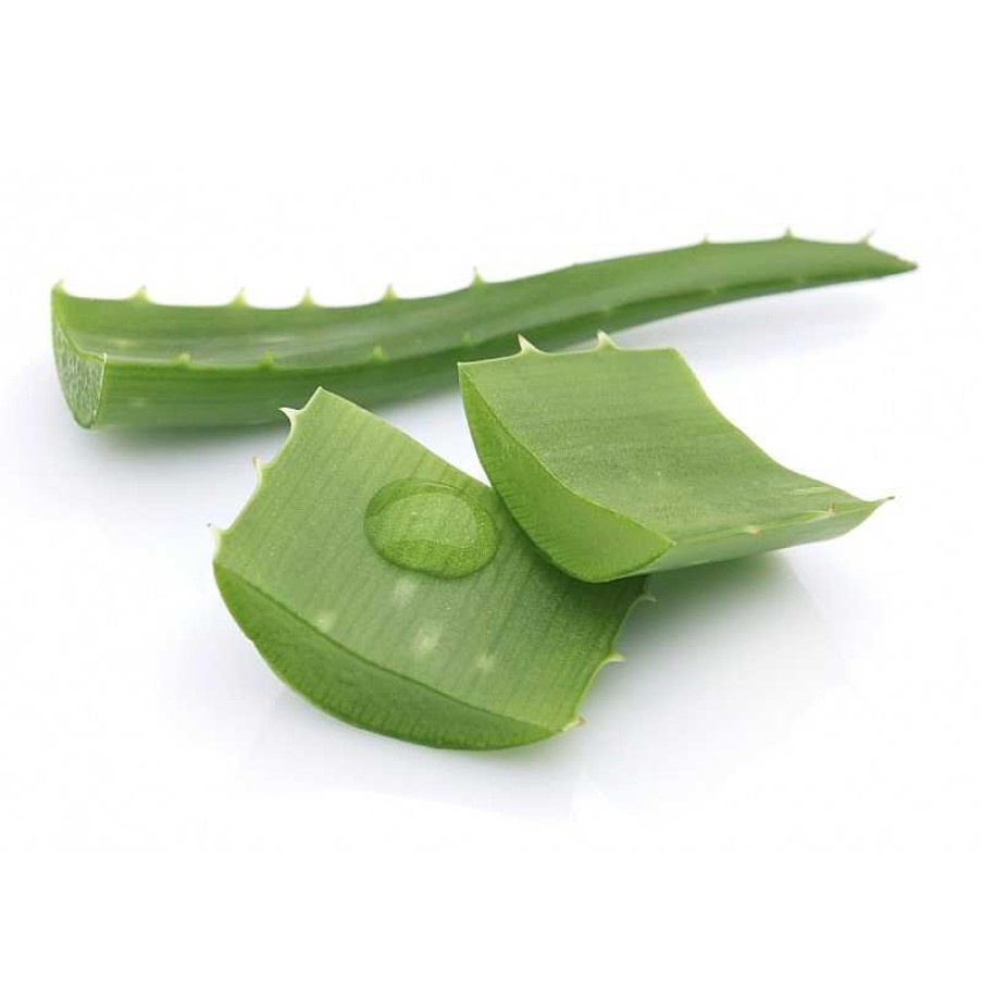 Best Kefus Gel Aloe Vera 500 Ml (Natural)
