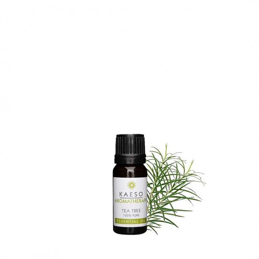 Best Kaeso Aceite Rbol De T 10 Ml.